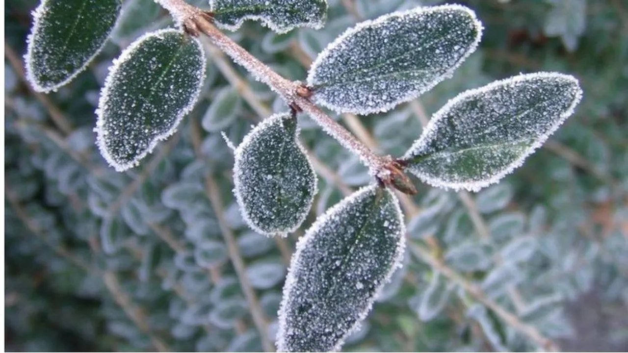 تحذير لمرتادي الطرق من تشكل الصقيع نتيجة تدني درجات الحرارة ليلًا بطقس شديد البرودة